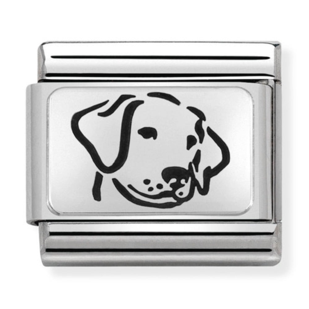 Silvershine Dog Charm