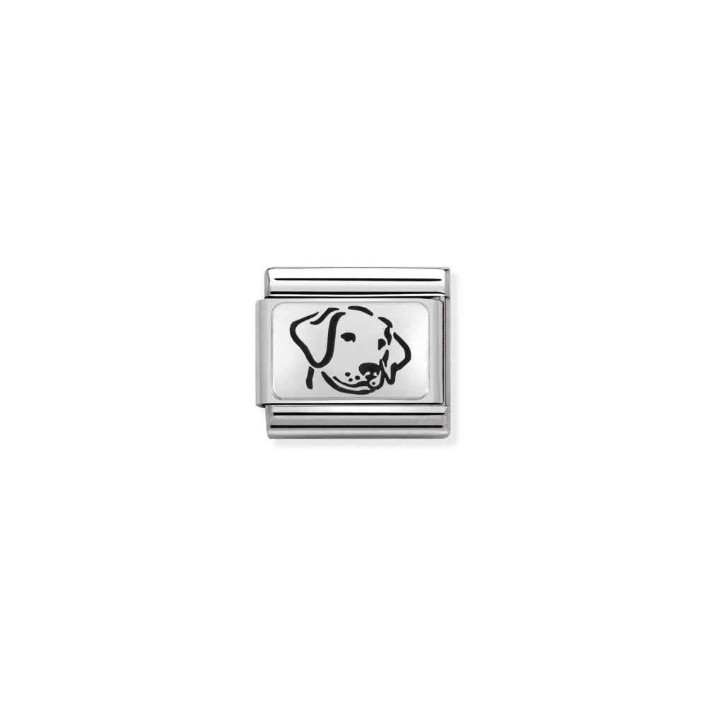 Silvershine Dog Charm