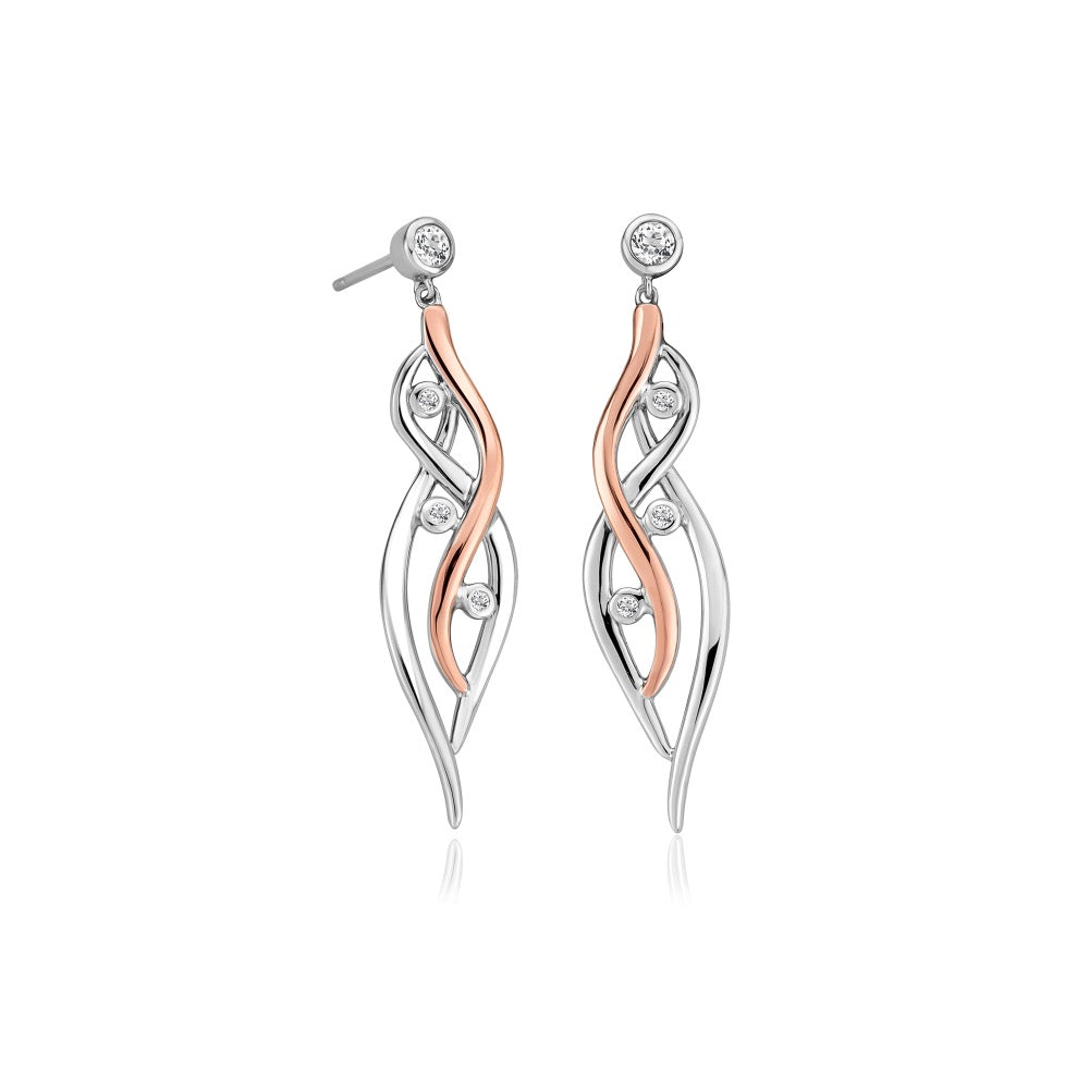 Swallow Falls Earrings